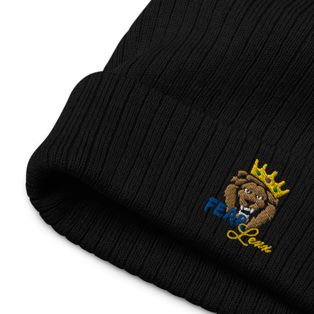 Recycled embroidered cuffed beanie "Blue fear"