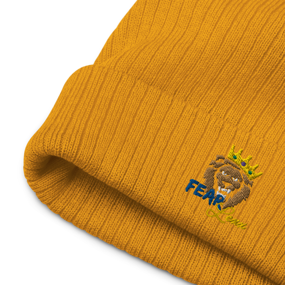 Recycled embroidered cuffed beanie "Blue fear"