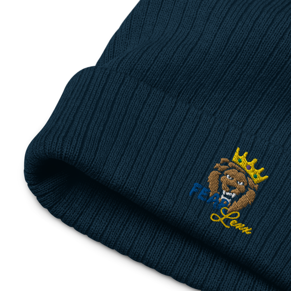 Recycled embroidered cuffed beanie "Blue fear"